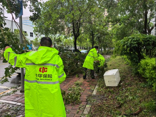 逆风出征——中华财险惠州中心支公司党员先锋队全力抗击台风“红霞”
